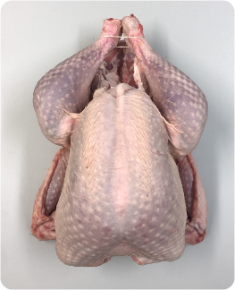 Large Turkey